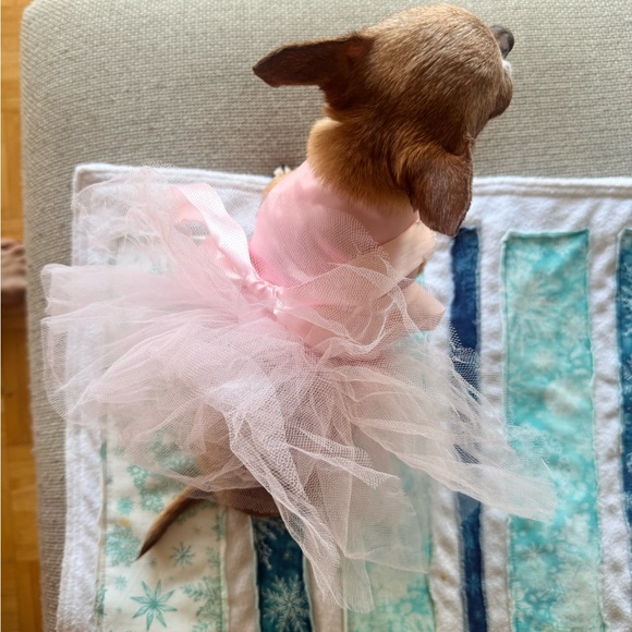 🩰 XS Dog Ballerina Costume – Pink Tutu Dress - Picture 3 of 5